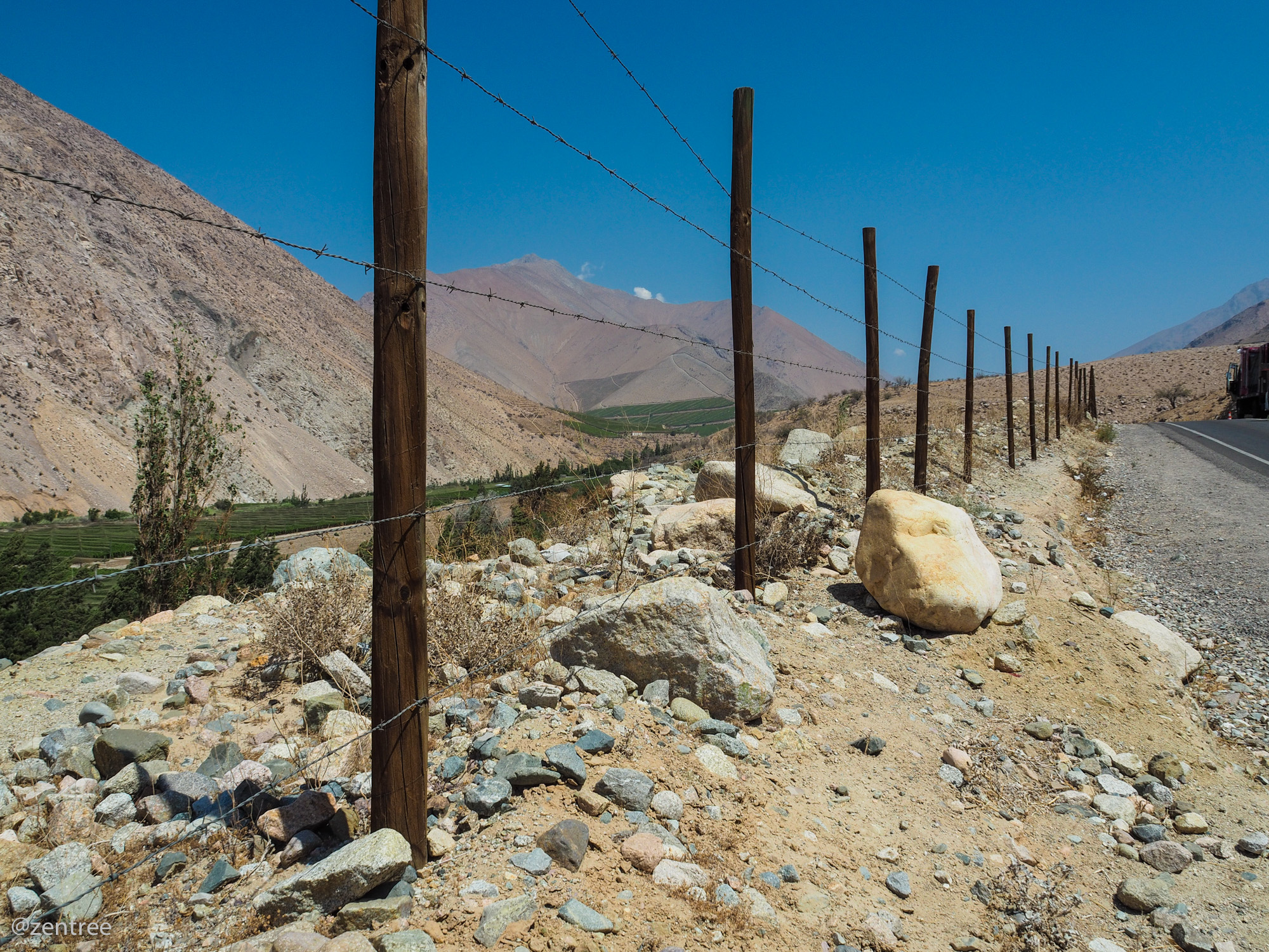 Los árboles no son ajenos a batallas